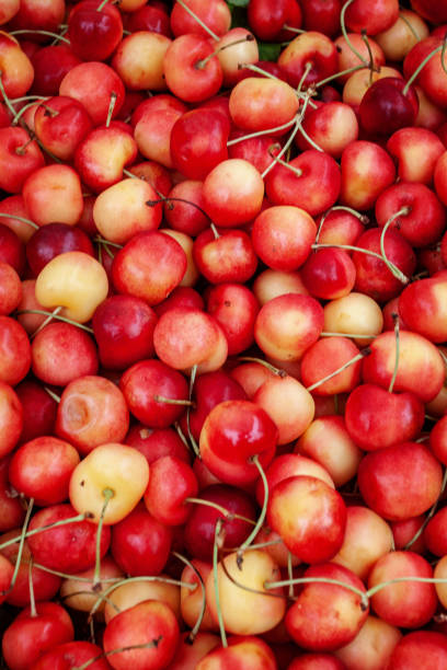 istock Pile of Rainier Cheies, Verticle, Portrait 996733880