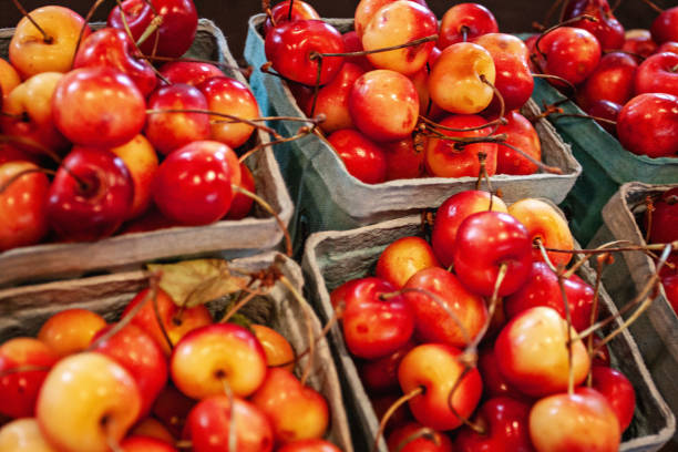 istock Endless Baskets of Rainier Cherries 996733894