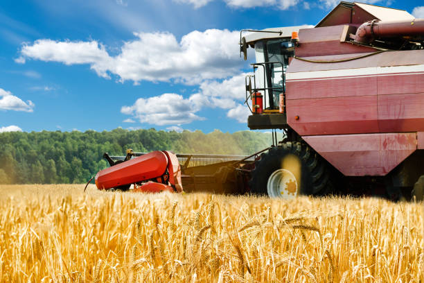 istock close-up harvester machine working in field. Agriculture machine 996739008