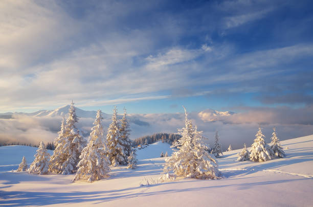 istock Christmas landscape in the mountains 996747320
