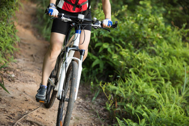 istock Mountain biker cycling on summer forest trail 996750776
