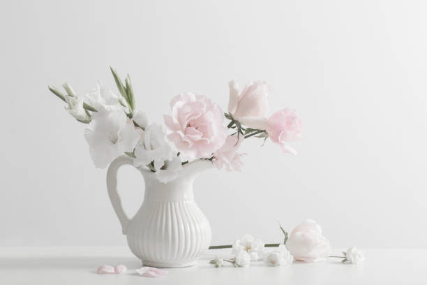 istock pink and white flowers in vase on white background 996754070