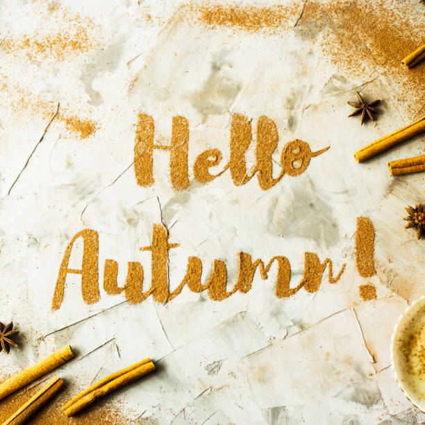 Hello, Autumn. The phrase is written on a gray table with ground cinnamon among cinnamon sticks and badyan. Top view, flat lay
