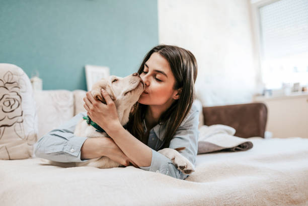 tiempo feliz con mascota. - besar fotografías e imágenes de stock