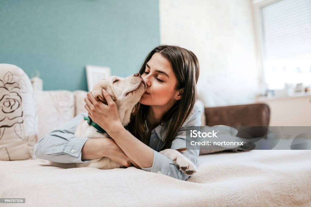 Happy time with pet. Dog Stock Photo