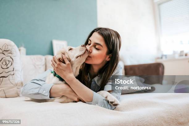 Happy Time With Pet Stock Photo - Download Image Now - Dog, Domestic Life, One Woman Only