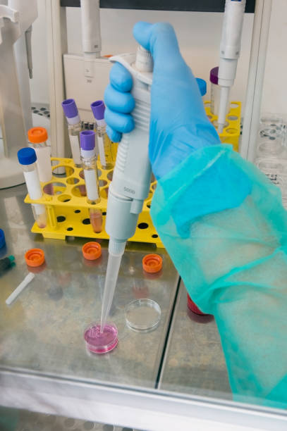 istock Preparing research studies in cancer treatment 996758020