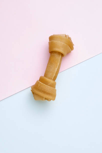 istock Dog Bone on blue and pink backgrounds 996760746