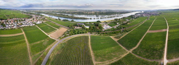 istock River Rhine, Rheingau - panoramic aerial view 996761750