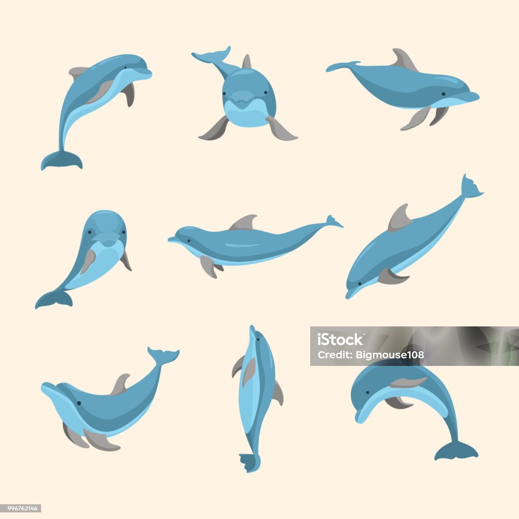Cartoon Characters Funny Dolphin Set. Vector Cartoon Characters Funny Dolphin Set Ocean Mammal Different Poses Concept Element Flat Design Style. Vector illustration of Dolphins Dolphin stock vector