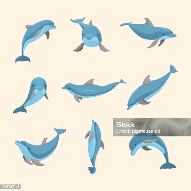 Cartoon Characters Funny Dolphin Set Vector Stock Illustration - Download Image Now - Dolphin, Illustration, Icon Symbol
