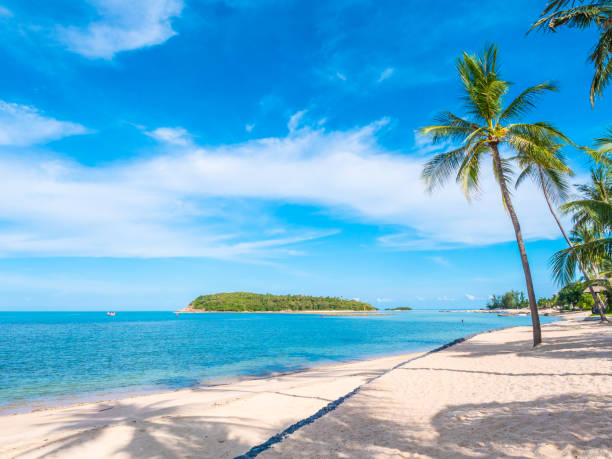 istock Beautiful tropical beach and sea with coconut palm tree 996764744