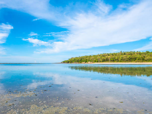 istock Beautiful tropical beach and sea with coconut palm tree 996764788