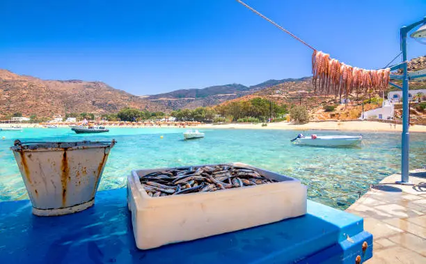 Traditional greek sea food, octopus, drying in the sun, Milopotas, Ios island, Cyclades, Greece