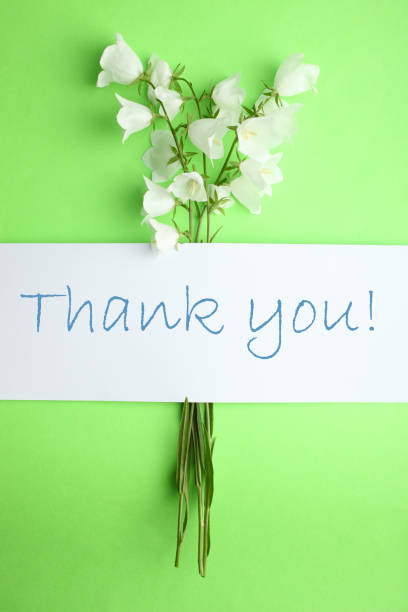 istock Beautiful white flowers bells 996766158