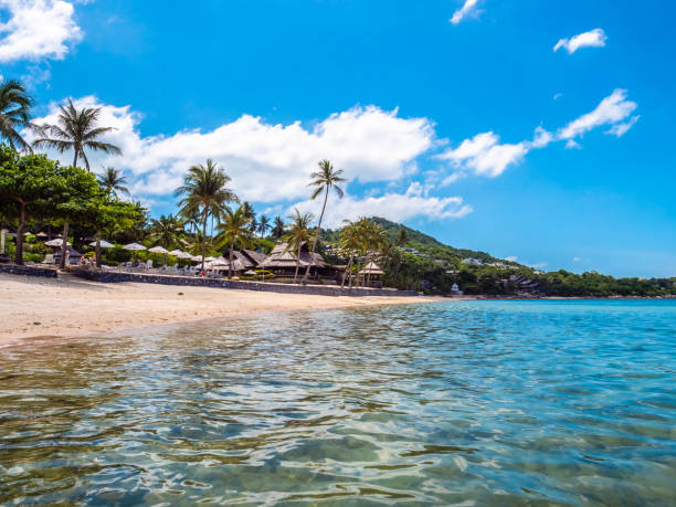 istock Beautiful tropical beach and sea with coconut palm tree 996769370