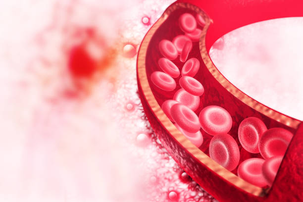 cellule del sangue in un'arteria. illustrazione 3d"n - healthcare and medicine human cardiovascular system anatomy human blood vessel foto e immagini stock