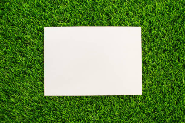 Blank spiral note pad on the grass meadow. Mock up