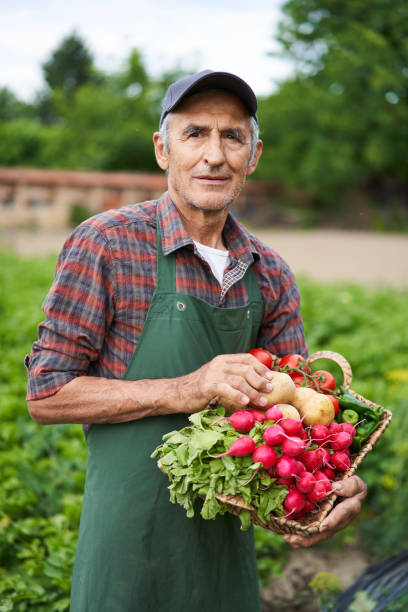 istock Farmer holding basket with vegetables 996776626