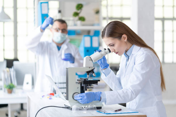 Couple scientists in laboratory Two scientists using laptop and microscope in laboratory. pharmaceutical factory stock pictures, royalty-free photos & images