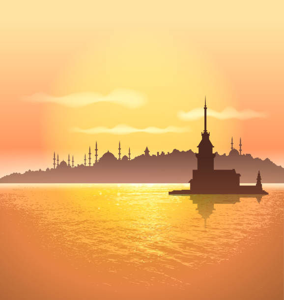 silhouette von istanbul - bosporus stock-grafiken, -clipart, -cartoons und -symbole