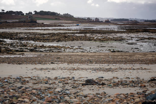 boats at the low tide