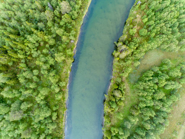 istock Remote located river in the great wilderness seen from above 996784666