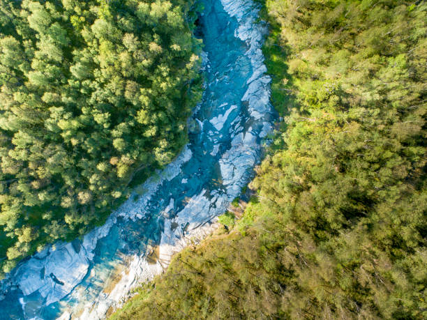 Aerial top view of a small remote located river in the middle of a summer green wild nature landscape, seen from high up from a drone.