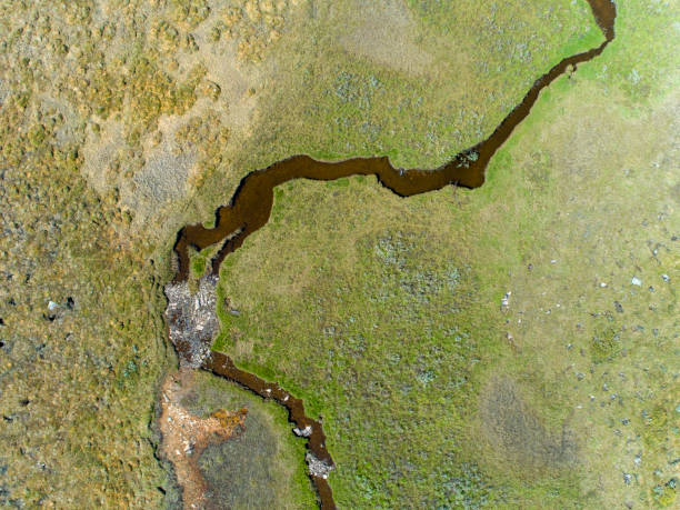 istock Remote located river in the great wilderness seen from above 996787162