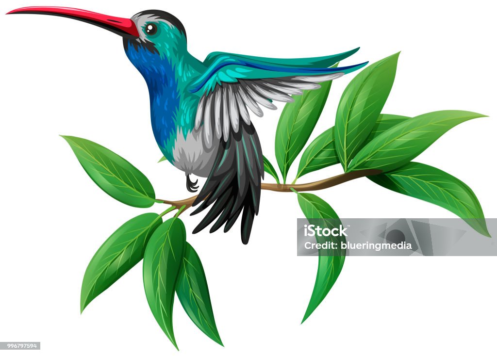 A Colourful Hummingbird on White Background A Colourful Hummingbird on White Background illustration Abstract stock vector