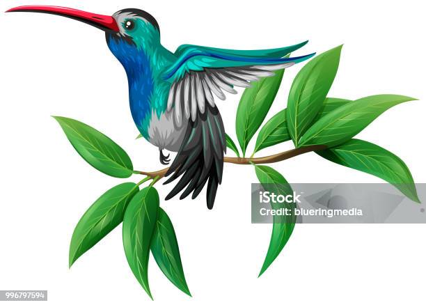 A Colourful Hummingbird On White Background Stock Illustration - Download Image Now - Abstract, Animal, Animal Wildlife
