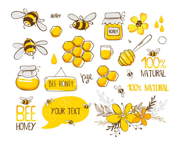 illustrazioni stock, clip art, cartoni animati e icone di tendenza di set di api, miele, scritte e altre illustrazioni dell'apicoltura. vettore eps10 - ape domestica