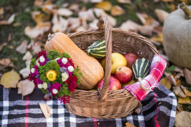 istock Picnic basket in the park 996805658
