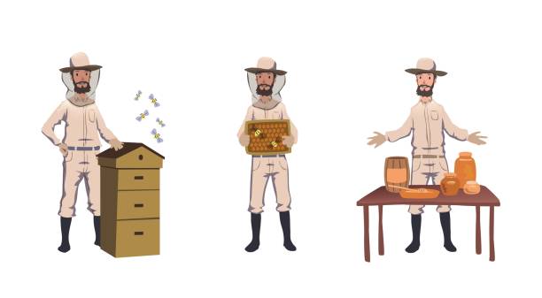 Apiculture and beekeeping. Beekeeper, hiver harvesting honey, dealing with bee-house, selling home-made honey. Set of characters. Colorful flat vector illustration. Isolated on white background Apiculture and beekeeping. Beekeeper, hiver harvesting honey, dealing with bee-house, selling home-made honey. Set of characters. Colorful flat vector illustration. Isolated on white background. hiver stock illustrations