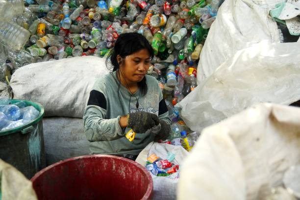 arbeiter von einer verwertungsanlage materialien bereiten plastikflaschen für ordnungsgemäße verwertung. - scavenging stock-fotos und bilder