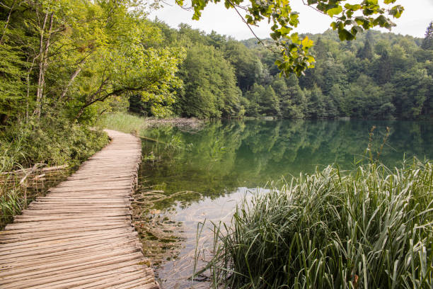Parc National de Plitvice, Croatie. - Photo