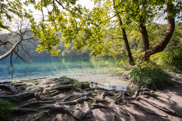 Parc National de Plitvice, Croatie. - Photo