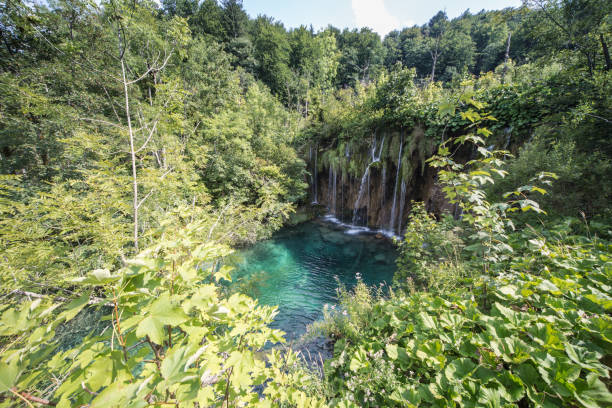 Cтоковое фото Национальный парк Плитвице, Хорватия.