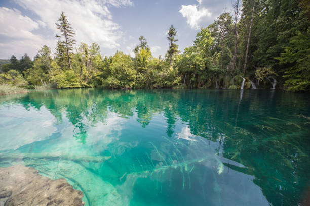 P.E. Plitvice, Croazia. - foto stock