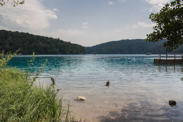 Parc National de Plitvice, Croatie. - Photo