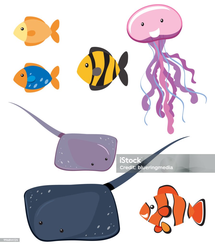 Set of different sea animals Set of different sea animals illustration Animal stock vector