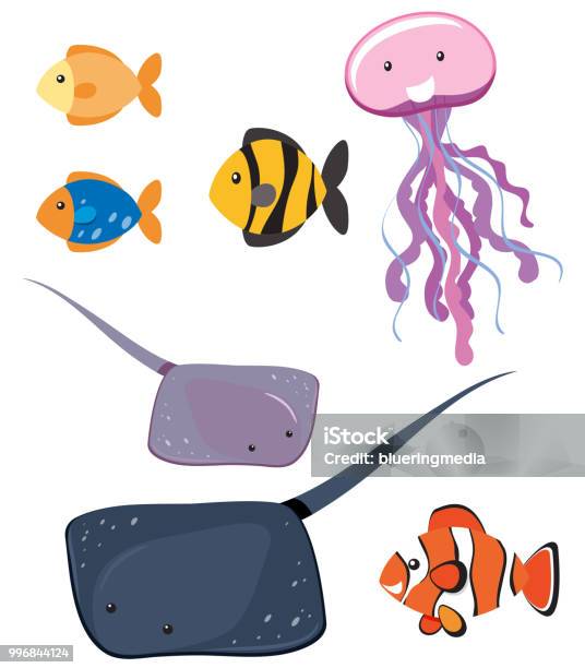 Set Of Different Sea Animals Stock Illustration - Download Image Now - Animal, Animal Wildlife, Aquarium
