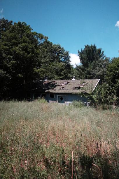 istock Old Blue House - Abandoned Catskill Game Farm Photo Workshop 996877284