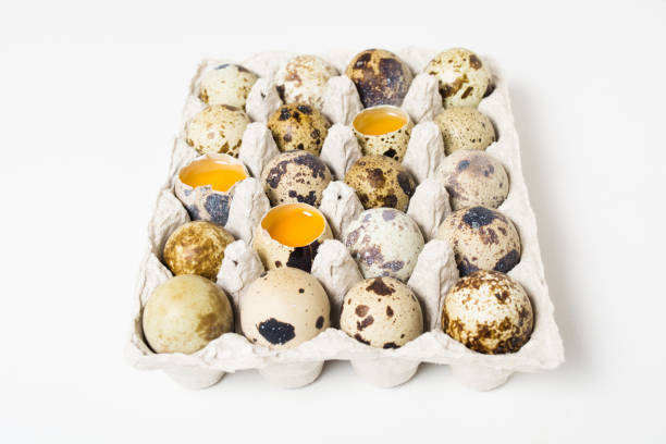 Quail eggs on the white background Quail eggs on the paper container on the white background with copy space proteína stock pictures, royalty-free photos & images