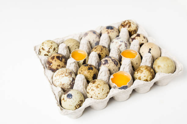 Raw quail eggs on the white background Raw quail eggs on the paper container on the white background proteína stock pictures, royalty-free photos & images
