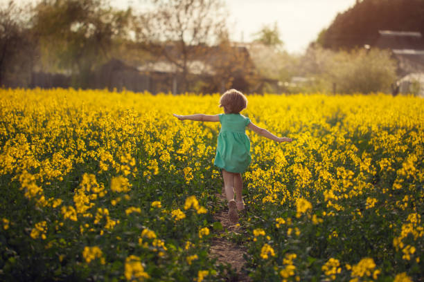 istock Little child runing on yellow field in sunny summer day. Back view. 996884356