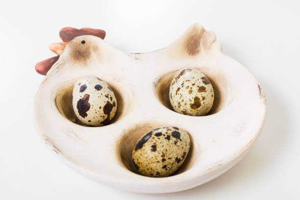 Three quail eggs on the egg holder Three quail eggs on the egg holder in the white background proteína stock pictures, royalty-free photos & images