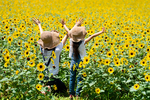 Parent and child in sunflower field