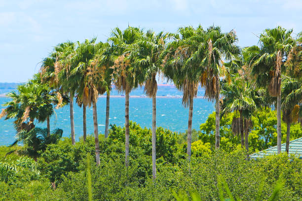 island in Tampa Florida