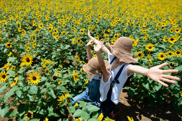 istock Parent and child in sunflower field 996886698